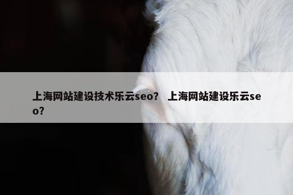 上海网站建设技术乐云seo？ 上海网站建设乐云seo？
