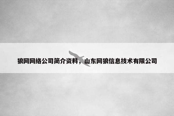 狼网网络公司简介资料，山东网狼信息技术有限公司
