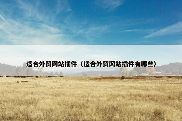 适合外贸网站插件（适合外贸网站插件有哪些）