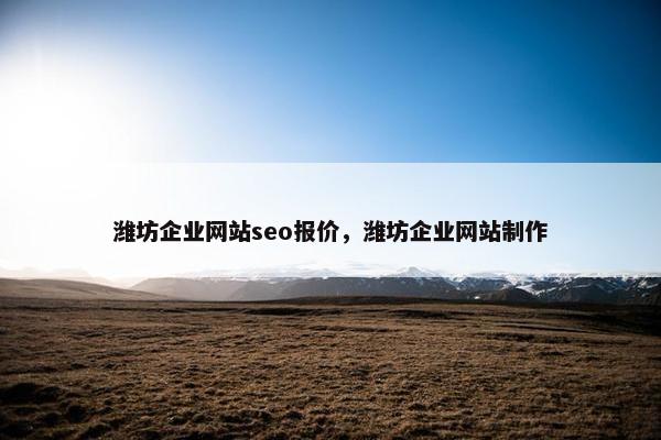 潍坊企业网站seo报价，潍坊企业网站制作