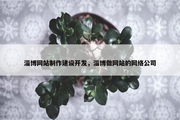 淄博网站制作建设开发，淄博做网站的网络公司