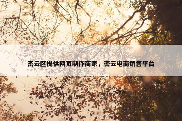 密云区提供网页制作商家，密云电商销售平台