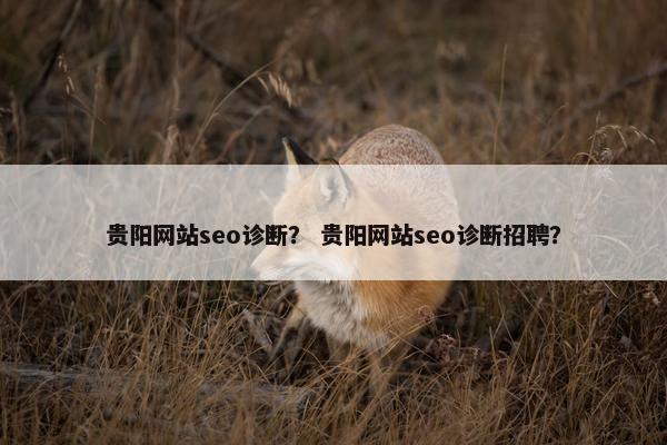贵阳网站seo诊断？ 贵阳网站seo诊断招聘？
