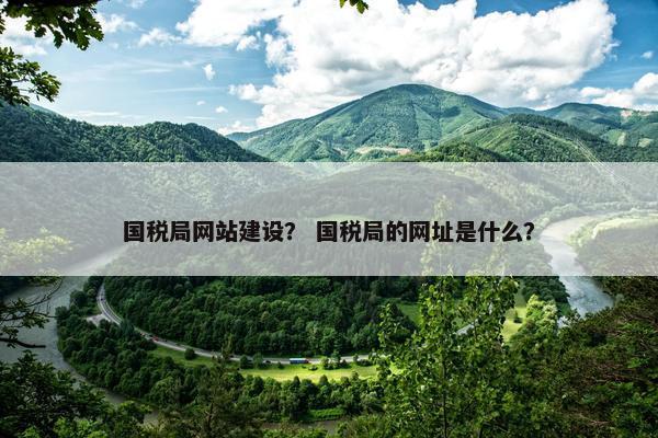 国税局网站建设？ 国税局的网址是什么？