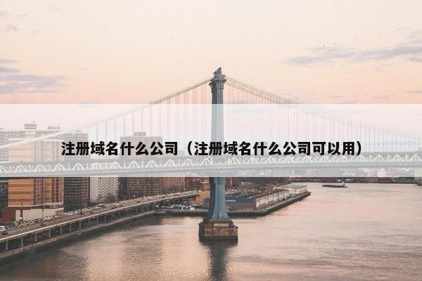 注册域名什么公司（注册域名什么公司可以用）