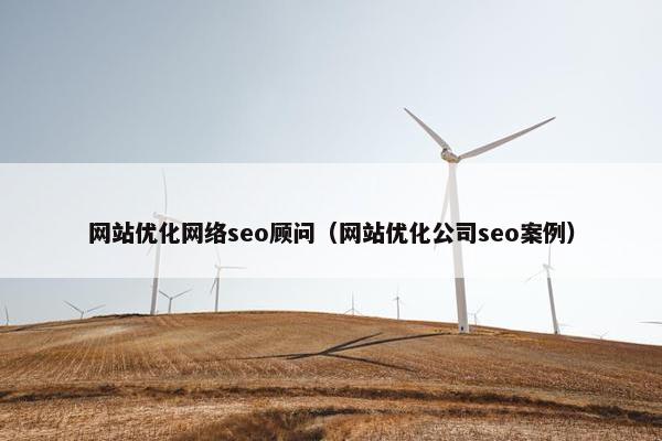 网站优化网络seo顾问（网站优化公司seo案例）