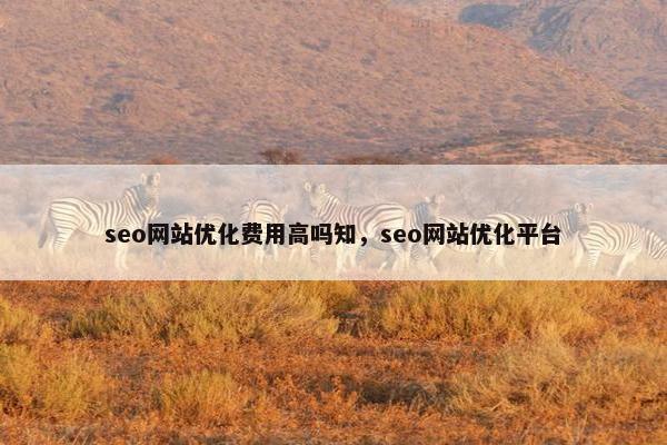 seo网站优化费用高吗知，seo网站优化平台