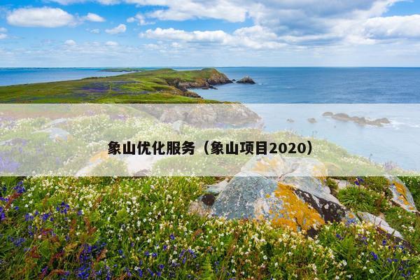 象山优化服务（象山项目2020）