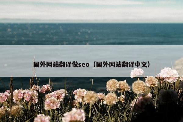 国外网站翻译做seo（国外网站翻译中文）