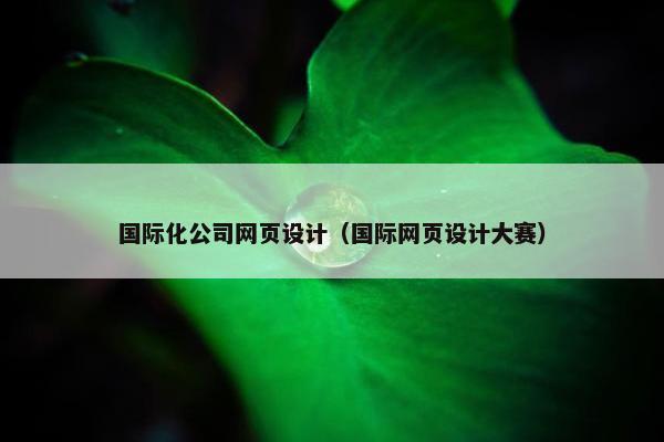 国际化公司网页设计（国际网页设计大赛）