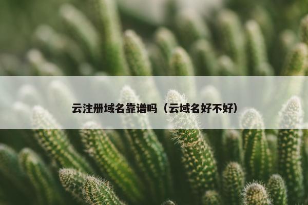 云注册域名靠谱吗（云域名好不好）