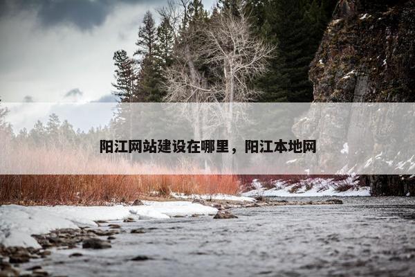 阳江网站建设在哪里，阳江本地网
