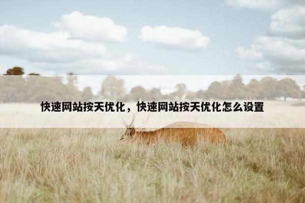 快速网站按天优化，快速网站按天优化怎么设置