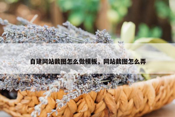 自建网站截图怎么做模板，网站截图怎么弄