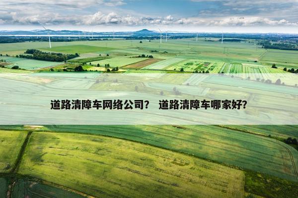 道路清障车网络公司？ 道路清障车哪家好？