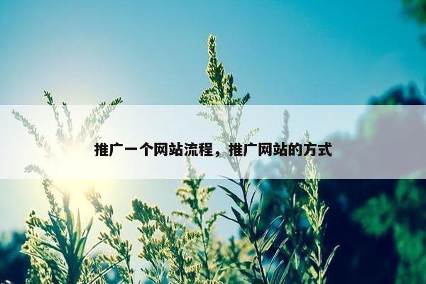 推广一个网站流程，推广网站的方式
