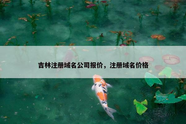 吉林注册域名公司报价，注册域名价格