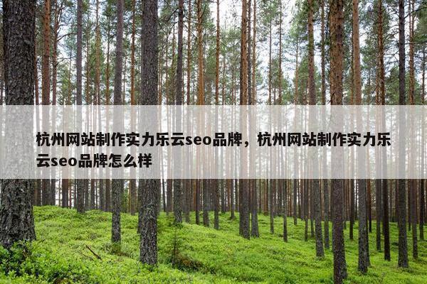 杭州网站制作实力乐云seo品牌，杭州网站制作实力乐云seo品牌怎么样