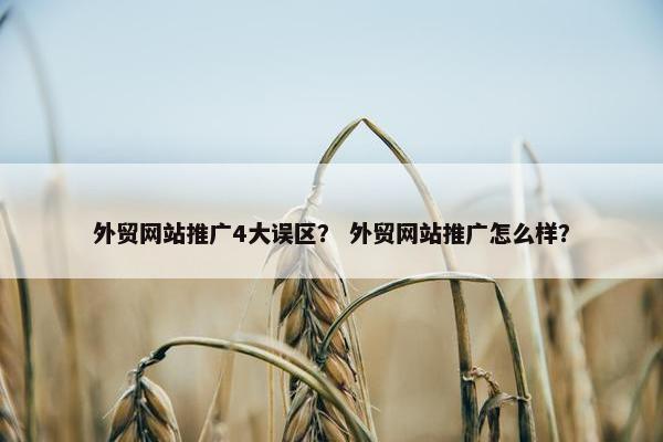 外贸网站推广4大误区？ 外贸网站推广怎么样？