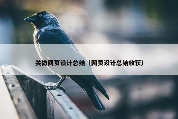 关做网页设计总结（网页设计总结收获）