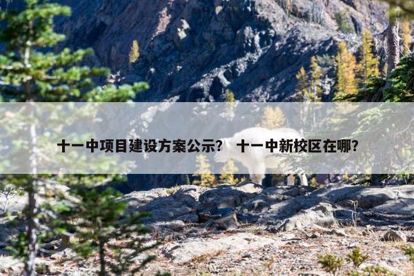 十一中项目建设方案公示? 十一中新校区在哪? 十一中项目建设方案公示? 十一中新校区在哪?