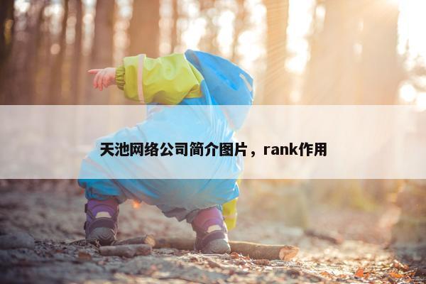 天池网络公司简介图片，rank作用