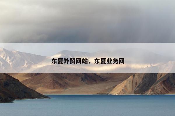 东夏外贸网站，东夏业务网