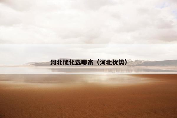 河北优化选哪家（河北优势）