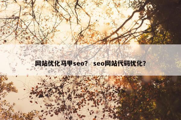 网站优化马甲seo？ seo网站代码优化？