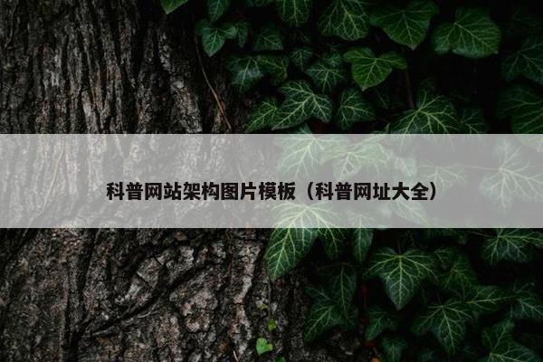科普网站架构图片模板（科普网址大全）