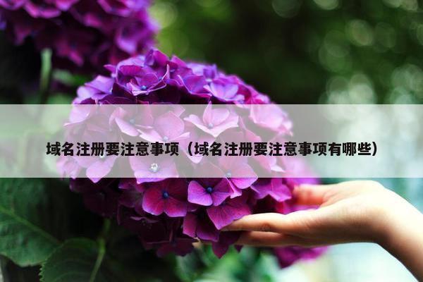 域名注册要注意事项（域名注册要注意事项有哪些）