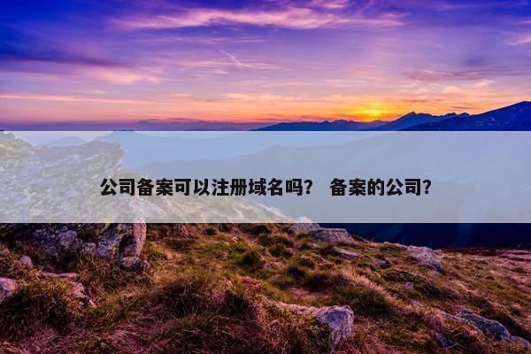 公司备案可以注册域名吗？ 备案的公司？