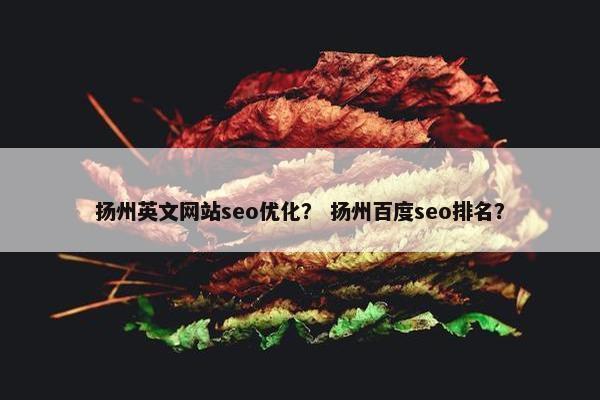 扬州英文网站seo优化？ 扬州百度seo排名？