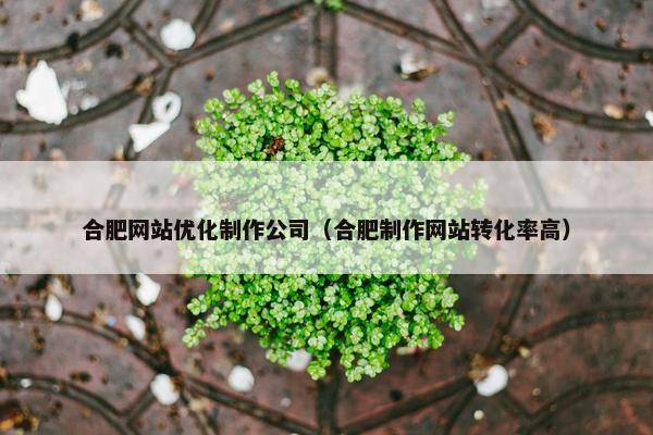 合肥网站优化制作公司（合肥制作网站转化率高）
