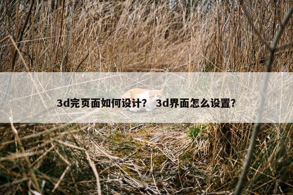3d完页面如何设计？ 3d界面怎么设置？
