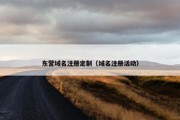 东营域名注册定制（域名注册活动）