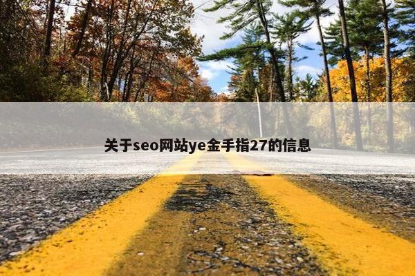 关于seo网站ye金手指27的信息