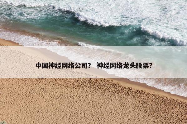 中国神经网络公司？ 神经网络龙头股票？
