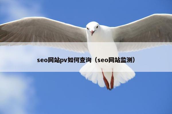 seo网站pv如何查询（seo网站监测）
