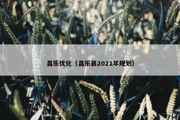 昌乐优化（昌乐县2021年规划）