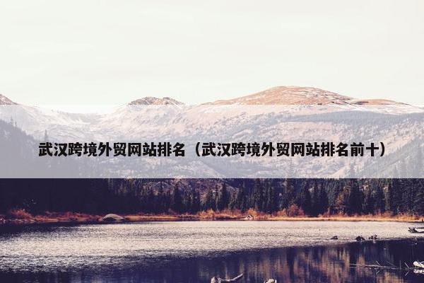 武汉跨境外贸网站排名（武汉跨境外贸网站排名前十）