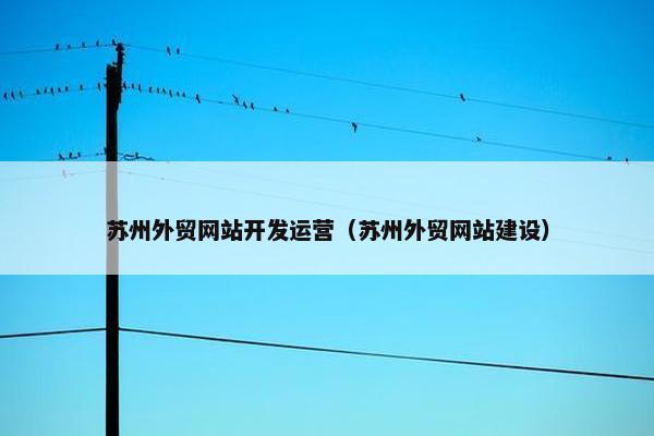 苏州外贸网站开发运营（苏州外贸网站建设）
