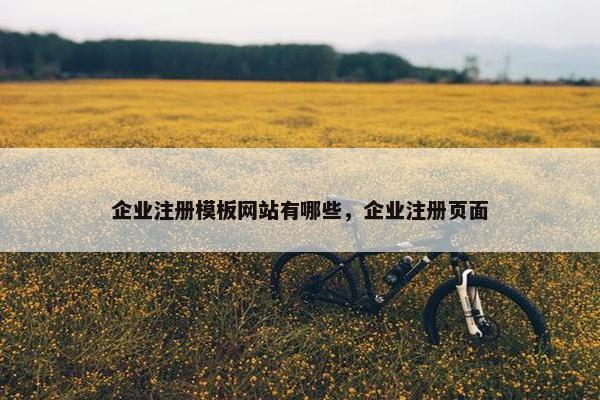 企业注册模板网站有哪些，企业注册页面