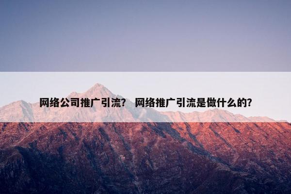 网络公司推广引流? 网络推广引流是做什么的? 网络公司推广引流? 网络推广引流是做什么的?