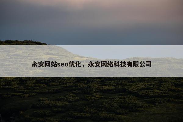 永安网站seo优化，永安网络科技有限公司