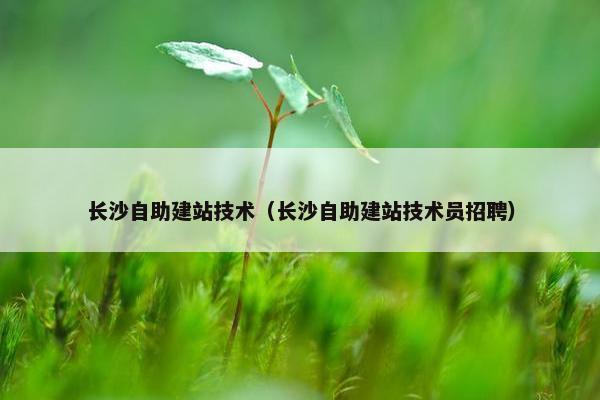 长沙自助建站技术（长沙自助建站技术员招聘）