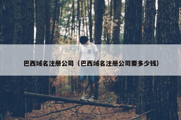 巴西域名注册公司（巴西域名注册公司要多少钱）