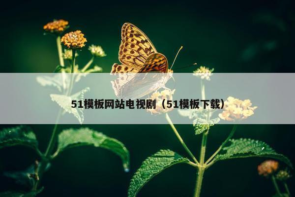 51模板网站电视剧（51模板下载）