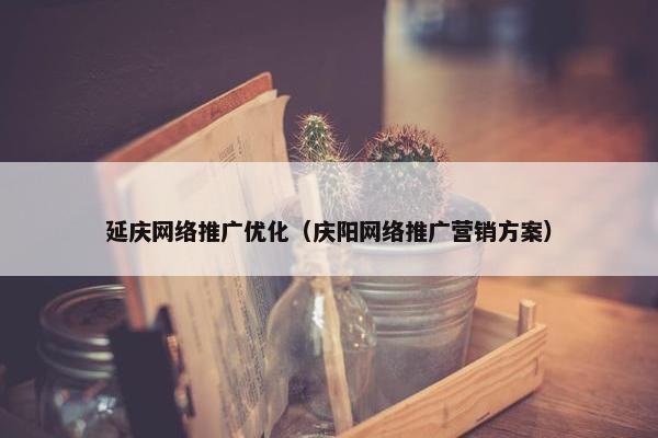 延庆网络推广优化（庆阳网络推广营销方案）