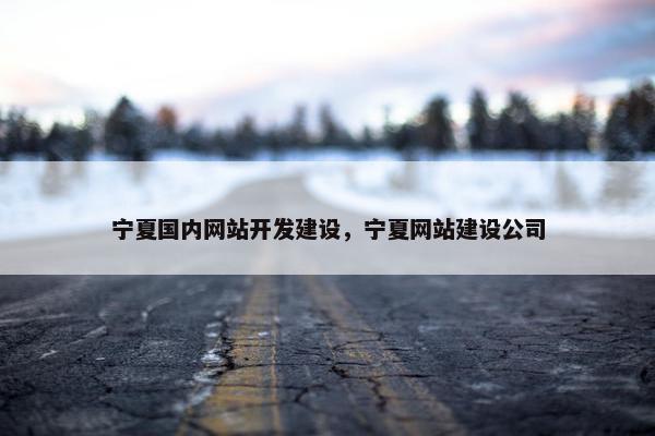 宁夏国内网站开发建设，宁夏网站建设公司